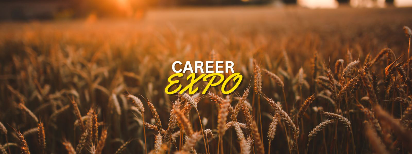 Career Expo