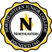 Northeastern Seal